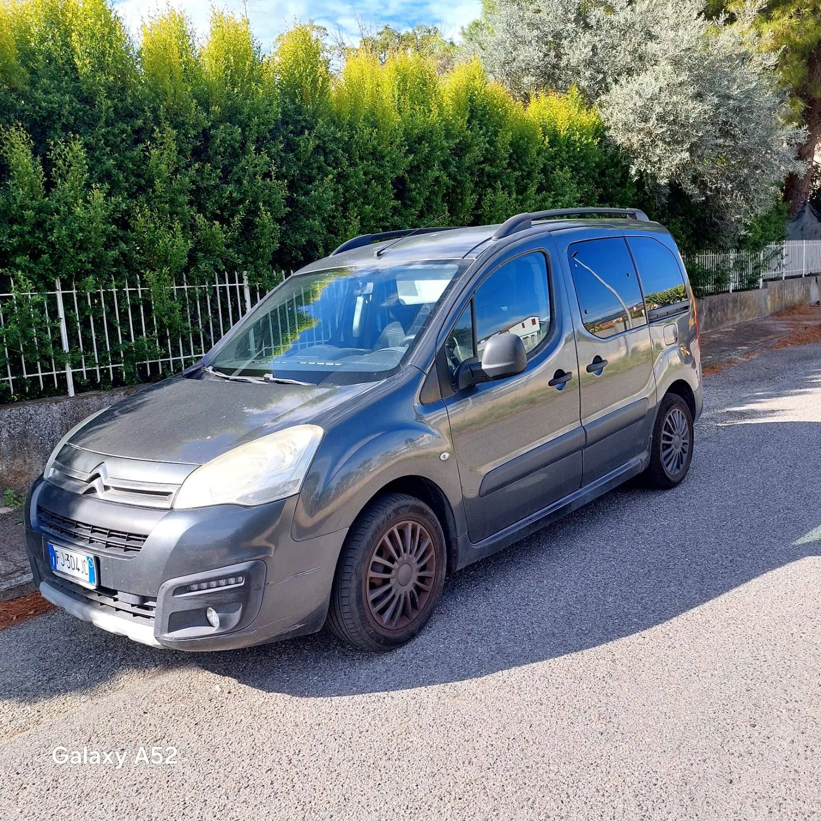 Citroen Berlingo Multispace
